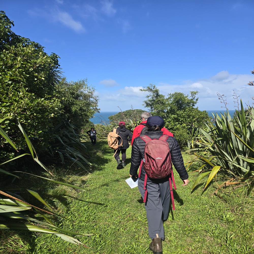 Walking